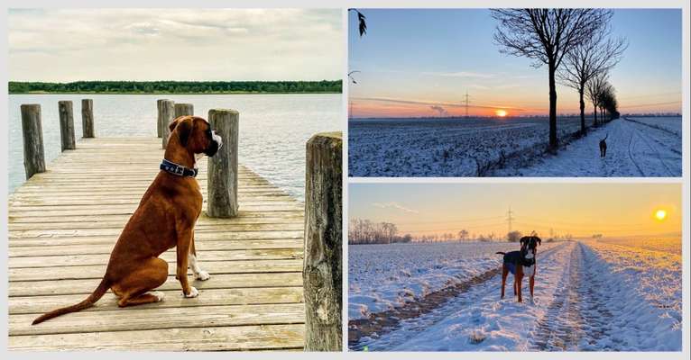 14. Collagen Challenge- Sonnenaufgang & -Untergang-Beitrag-Bild