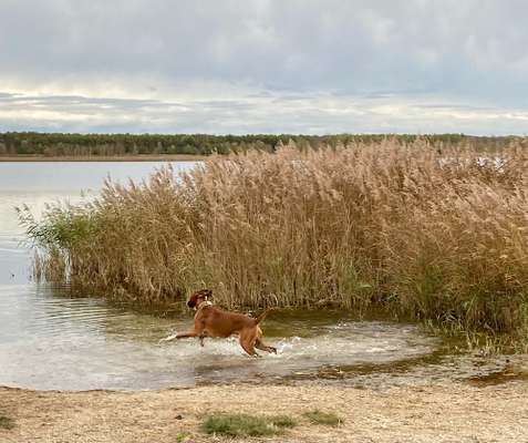 Herbst Bilder-Beitrag-Bild