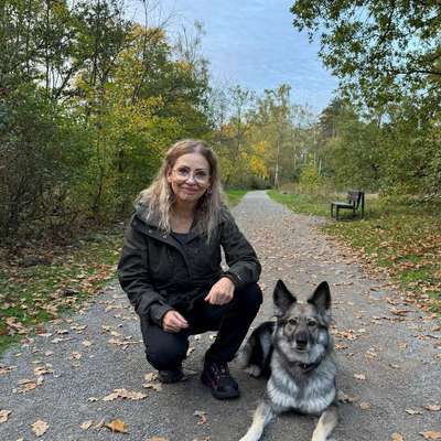 Hundeschulen-Heike Fix - Hundetr. & Verhaltensth.-Bild