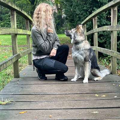 Hundeschulen-Heike Fix - Hundetr. & Verhaltensth.-Bild