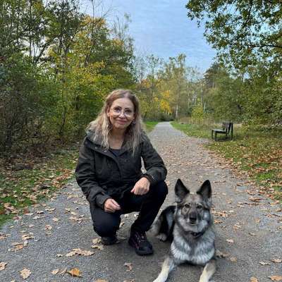 Hundeschulen-Liebevolle-Konsequenz -  Hundetraining und Verhaltenstherapie -Bild