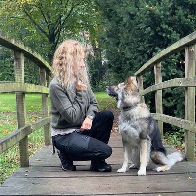 Hundeschulen-Heike Fix - Hundetr. & Verhaltensth.-Bild