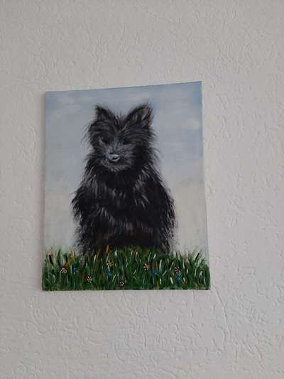 euer ältester Hund ?-Beitrag-Bild