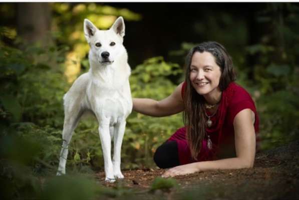 Hundetreffen-Soziale Lernspaziergänge und Hundefreundschaft für meine Hündin „Aliyah“ gesucht (Raum Bern/Fribourg-Bild