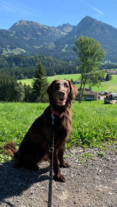 Fotochallenge Nr 107-Beitrag-Bild