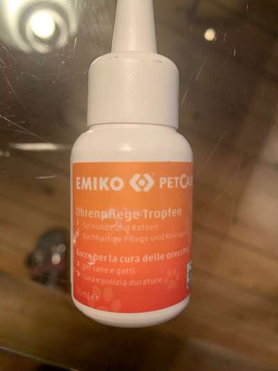 Lagotto Romagnolo Besitzer-Beitrag-Bild