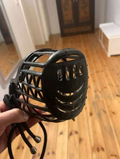 Hundekontakt mit Maulkorb-Beitrag-Bild