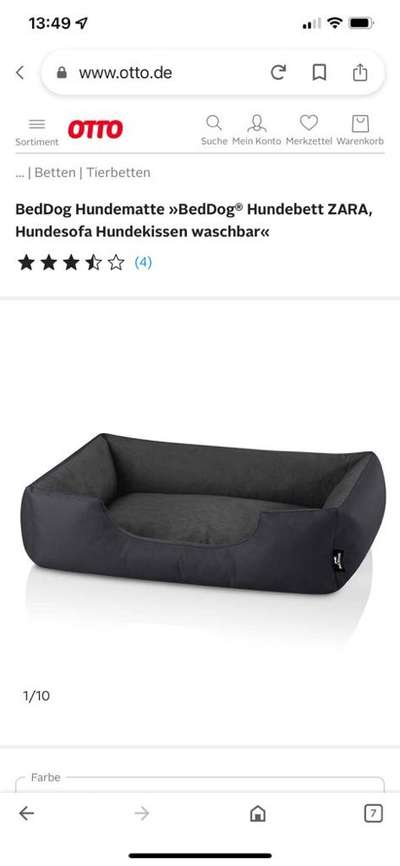 Lagotto Romagnolo Besitzer-Beitrag-Bild