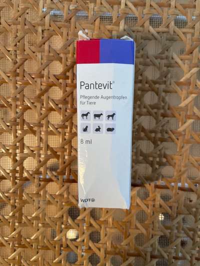 Lagotto Romagnolo Besitzer-Beitrag-Bild