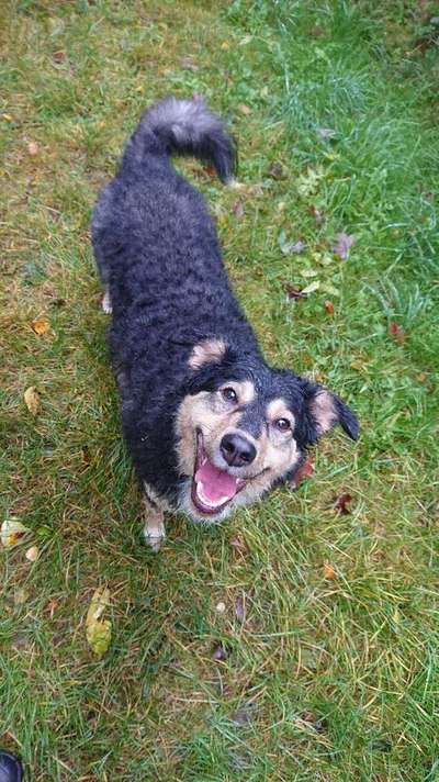 Immer lächeln !-Beitrag-Bild