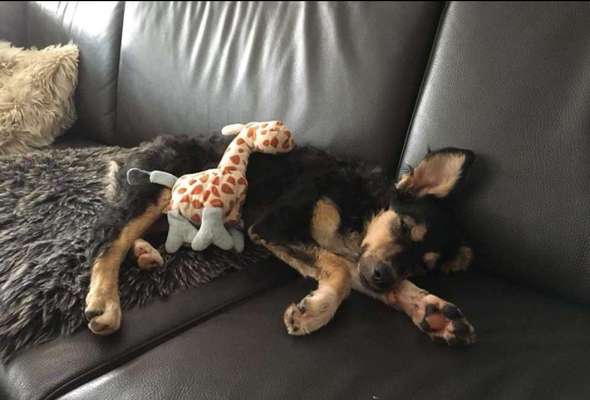 Foto Challenge 3-Beitrag-Bild