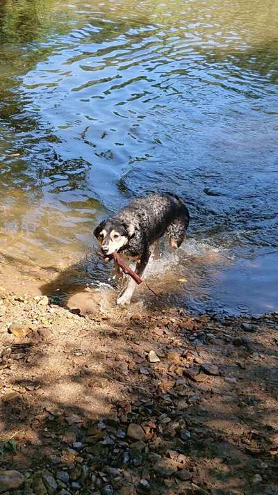 Foto Challenge - BEENDET - bitte aktuelle Challenge nutzen-Beitrag-Bild