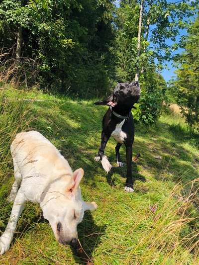 Fotochallenge Nr 50 Vom Winde verweht-Beitrag-Bild