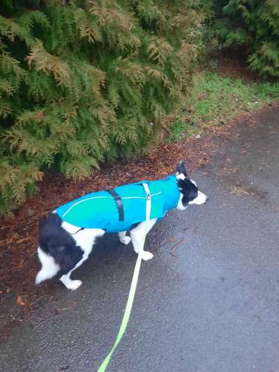 30. Collagen Challenge - Wege/Straßen-Beitrag-Bild