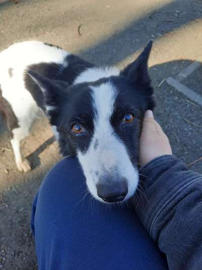 150. Foto Challaenge:  Die Augen, der Spiegel der Seele-Beitrag-Bild