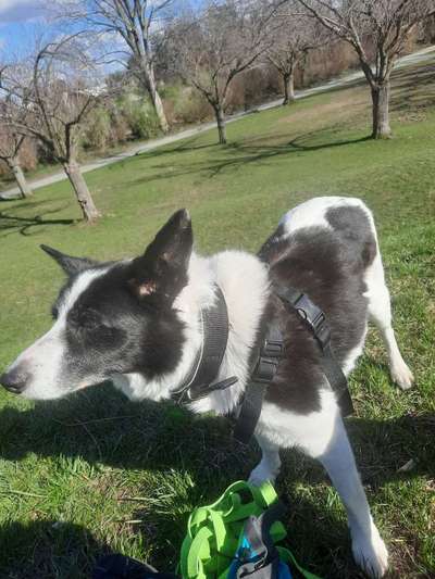 Farben Fotochallenge Sonnenlicht-Beitrag-Bild