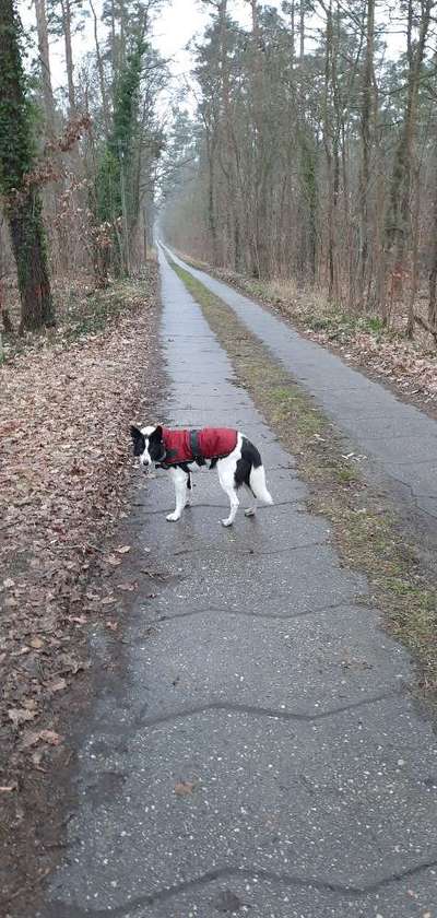 30. Collagen Challenge - Wege/Straßen-Beitrag-Bild