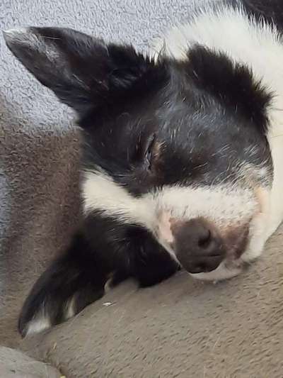 Gemeinsames Kuscheln im Bett!-Beitrag-Bild