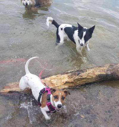 Foto Challenge Nr.133-Beitrag-Bild