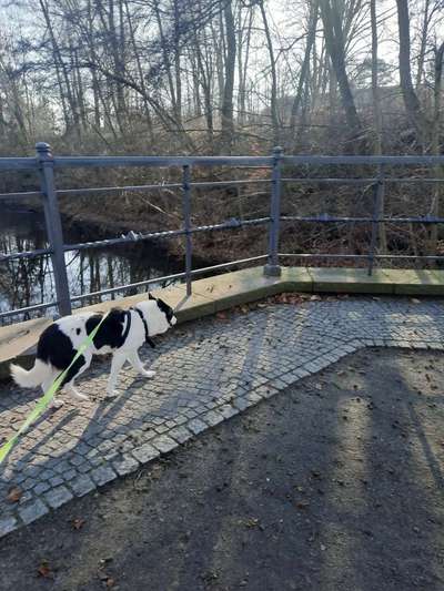 30. Collagen Challenge - Wege/Straßen-Beitrag-Bild