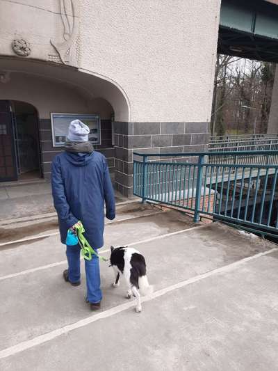 30. Collagen Challenge - Wege/Straßen-Beitrag-Bild