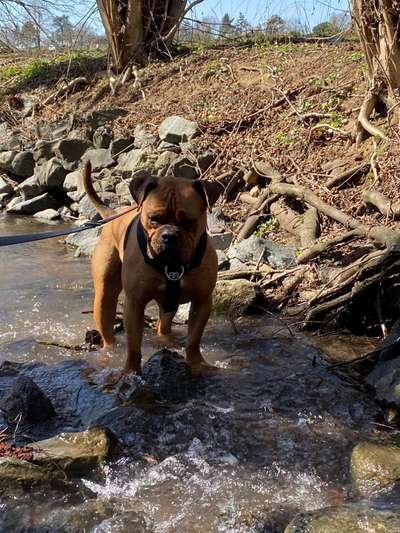 OEB Besitzer gesucht 😊-Beitrag-Bild