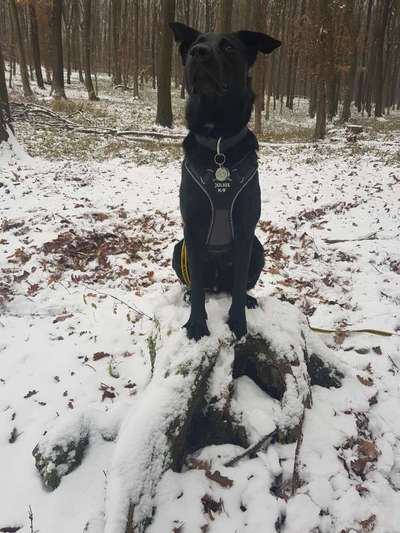 Zeigt mir eure Lieblingsfotos ♡♡-Beitrag-Bild