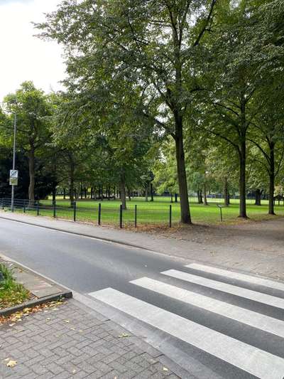 Hundeauslaufgebiet-Merheimer Straße-Bild