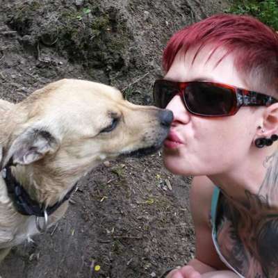 Seelenhunde-Beitrag-Bild