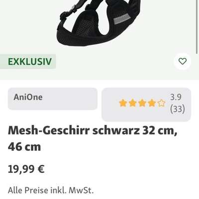 Geschirr mit Halsklipp-Beitrag-Bild