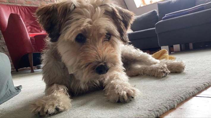 Zeigt eure Portraits-Beitrag-Bild