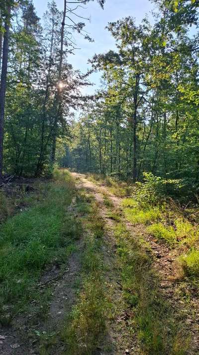 Was hat euch heute gefreut?-Beitrag-Bild