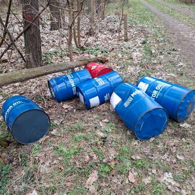 Was hat euch heute gefreut?-Beitrag-Bild