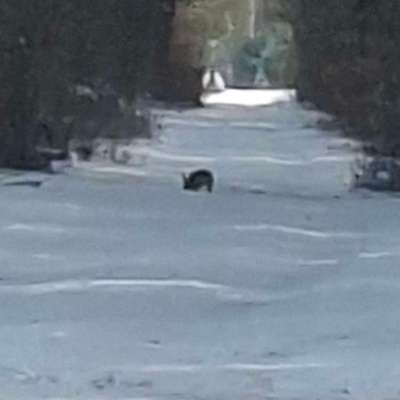 Was hat euch heute gefreut?-Beitrag-Bild