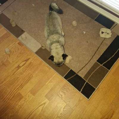 Was hat euch heute gefreut?-Beitrag-Bild