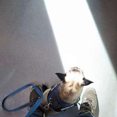 Was hat euch heute gefreut?-Beitrag-Bild