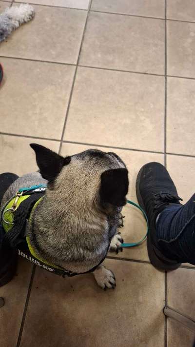 Was hat euch heute gefreut?-Beitrag-Bild