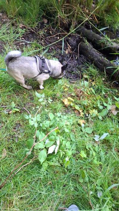 Was hat euch heute gefreut?-Beitrag-Bild