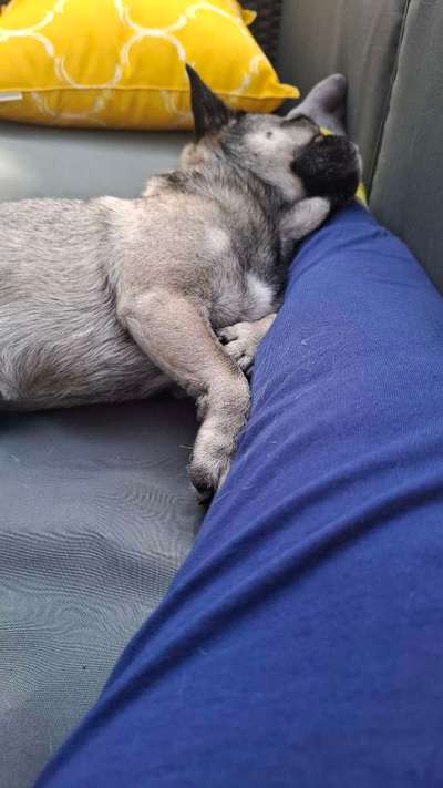 Was hat euch heute gefreut?-Beitrag-Bild