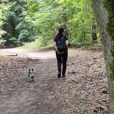 Was hat euch heute mit eurem Hund gefreut?-Beitrag-Bild