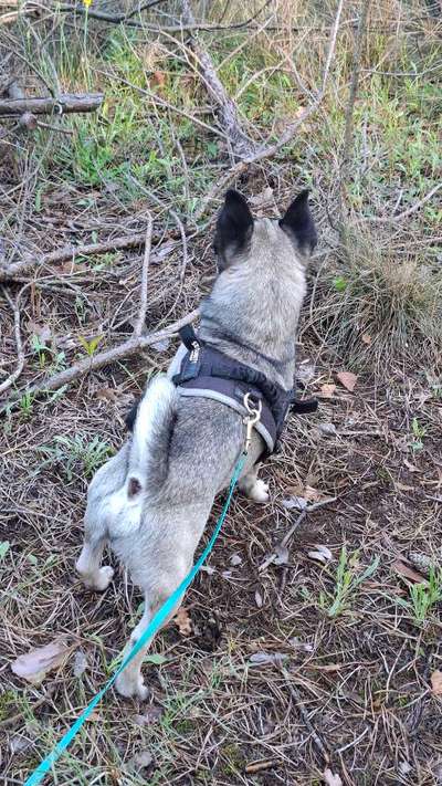 Was hat euch heute gefreut?-Beitrag-Bild