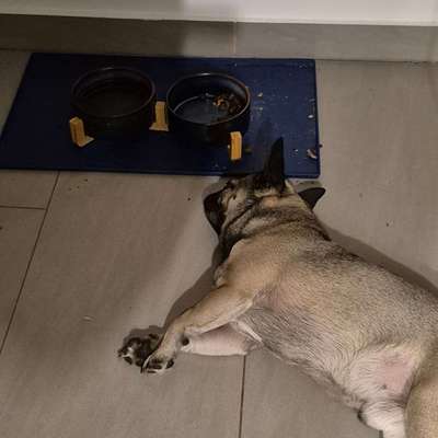 Was hat euch heute gefreut?-Beitrag-Bild