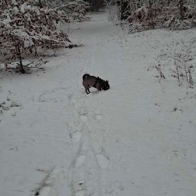 Was hat euch heute gefreut?-Beitrag-Bild