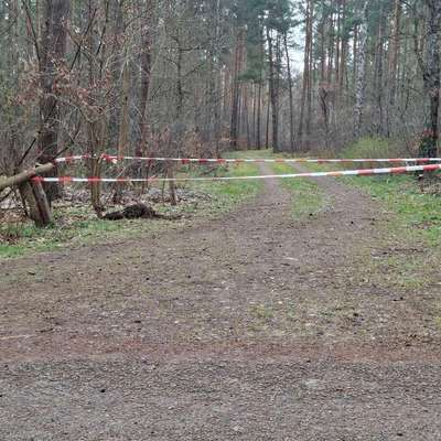 Was hat euch heute gefreut?-Beitrag-Bild