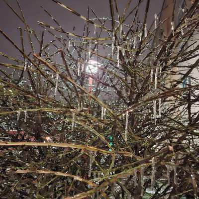 Was hat euch heute gefreut?-Beitrag-Bild