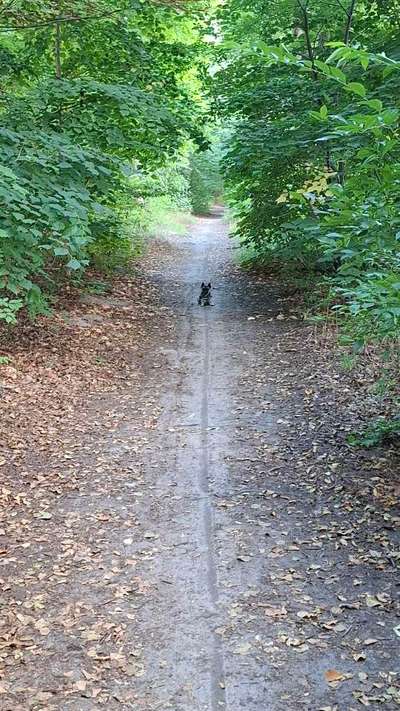 Was hat euch heute gefreut?-Beitrag-Bild