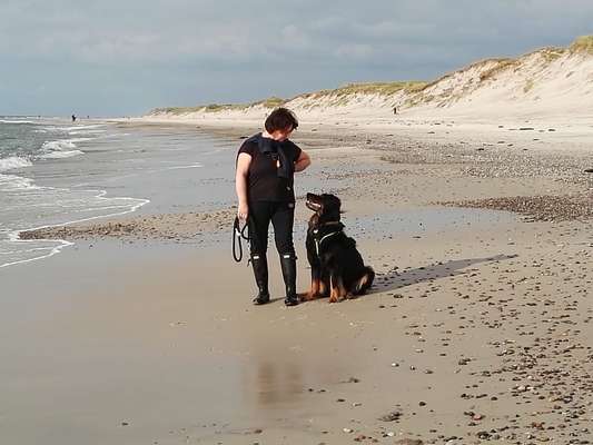 Urlaub Dänemark-Beitrag-Bild