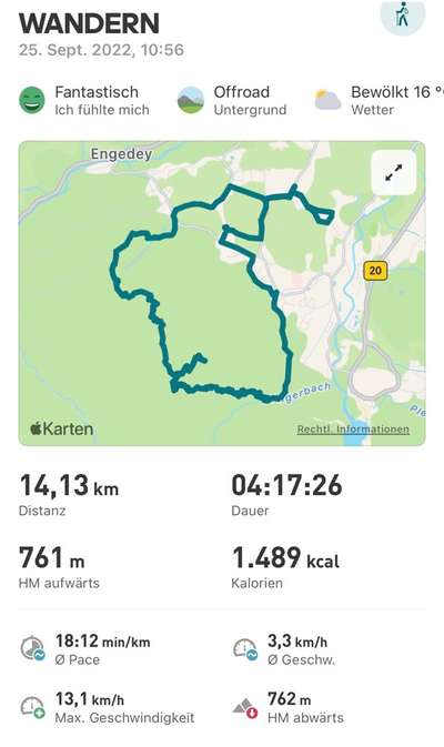 Rhodesian Ridgeback-Beitrag-Bild