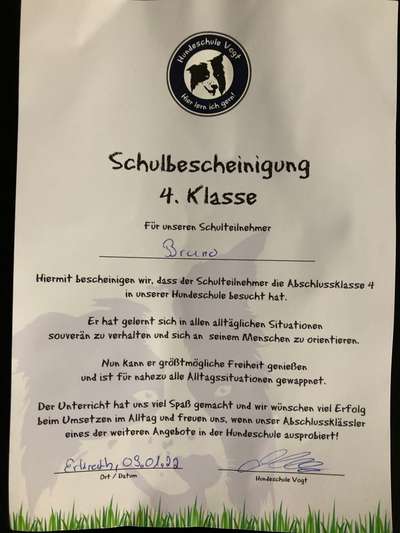 Rhodesian Ridgeback-Beitrag-Bild