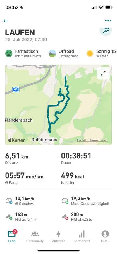 Rhodesian Ridgeback-Beitrag-Bild